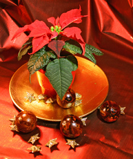 5-Weihnachtsmotive 078.jpg